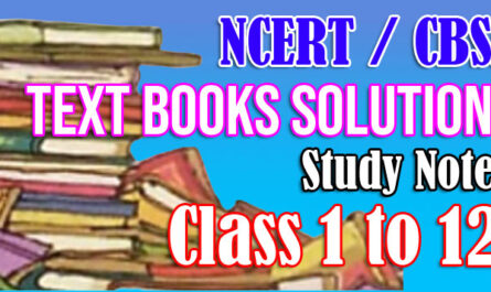NCERT Textbook Solutions